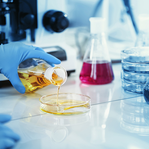 專業的技術優勢，優質 的產品質量